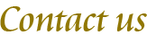 Contact／お問い合わせ