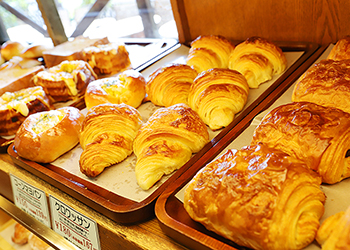 Bakery